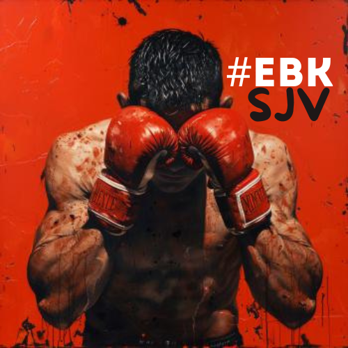 Escola de Boxe e Kickboxing de São João de Ver photo (Gym's own website)